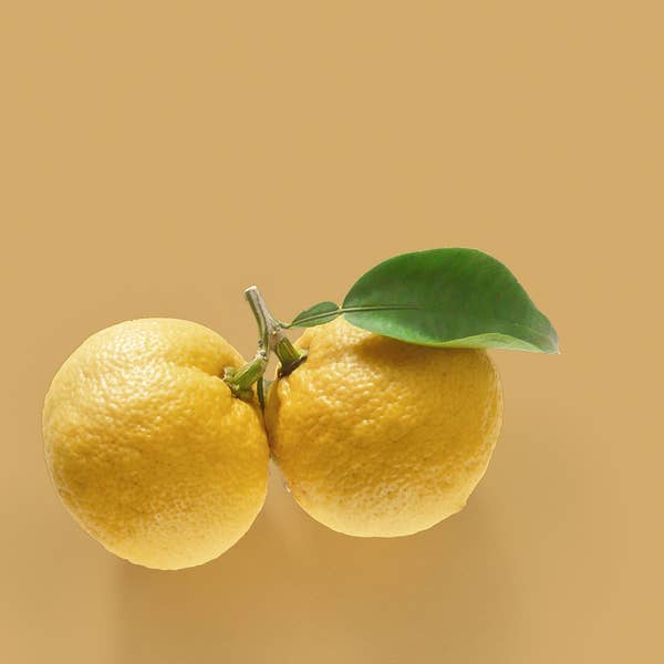 Aydry & Co. | Japanese Yuzu | Room Diffuser