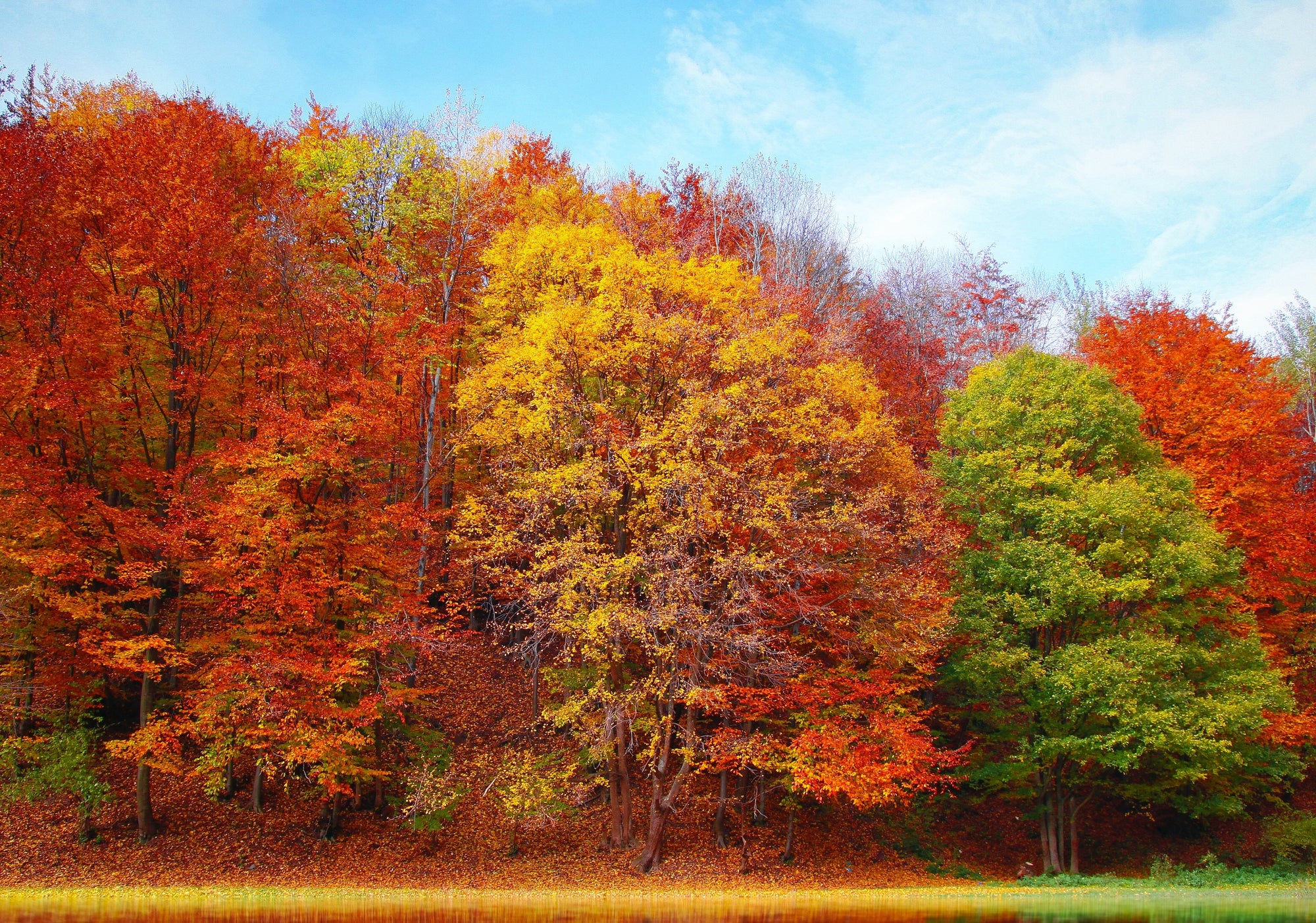 Embracing The Popular Fragrances For Every Season REBL embracing-the-popular-fragrances-for-every-season-rebl